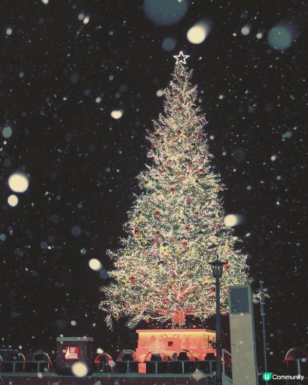 北海道聖誕雙重奏🎄❄️  道南經典路線，冬遊北