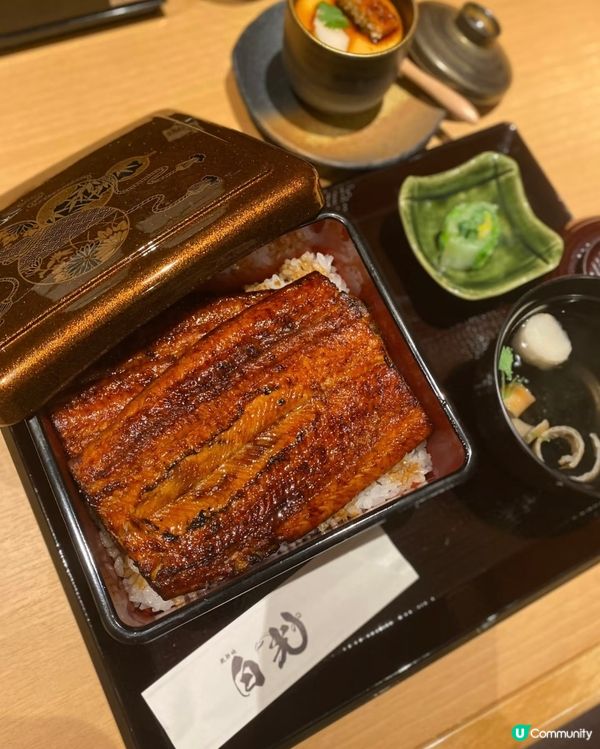 評分4.9 大阪北新地白光鰻魚飯🤤  超大份量！