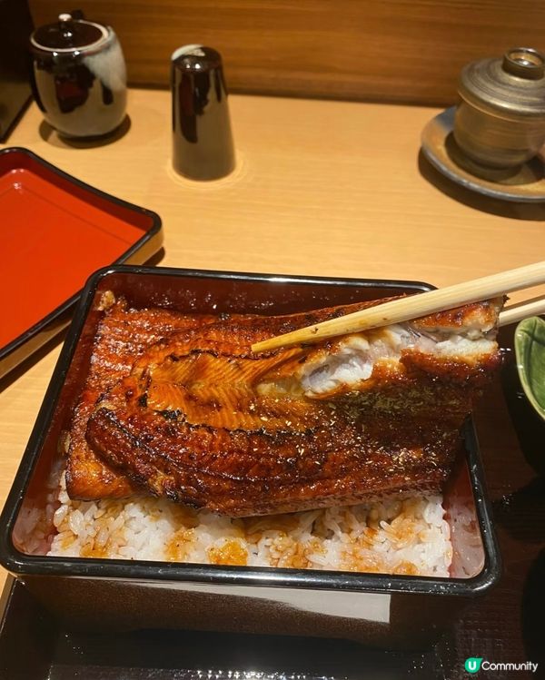 評分4.9 大阪北新地白光鰻魚飯🤤  超大份量！