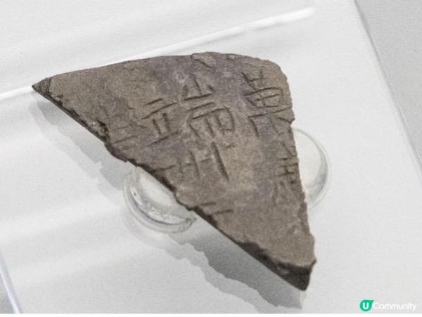 《唐風萬里：一場穿越千年的文化邂逅》