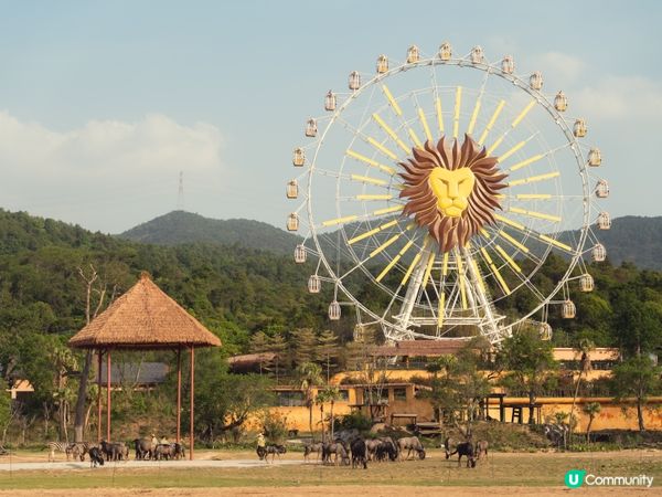 2025全新開幕🦒清遠長隆森林王國，遇見非洲