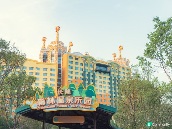 2025全新開幕🦒清遠長隆森林王國，遇見非洲