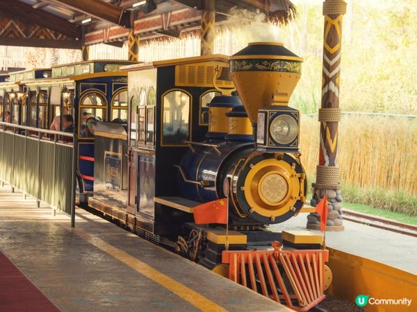 2025全新開幕🦒清遠長隆森林王國，遇見非洲