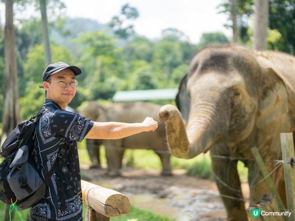 瓜拉甘達大象園🐘！餵象象影靚相📸！ 