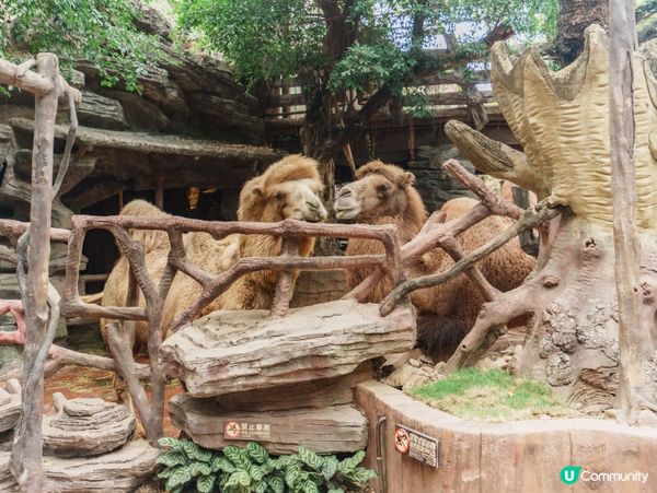 深圳順德長鹿主題樂園