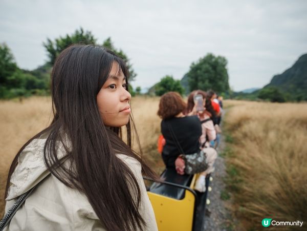 🚂【清遠峰林小鎮】穿越花海湖面的網紅小火車!廣東版｢小桂林｣...