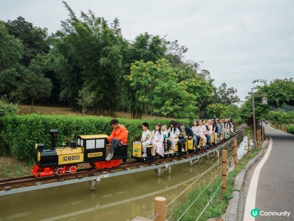 🚂【清遠峰林小鎮】穿越花海湖面的網紅小火車!廣東版｢小桂林｣...