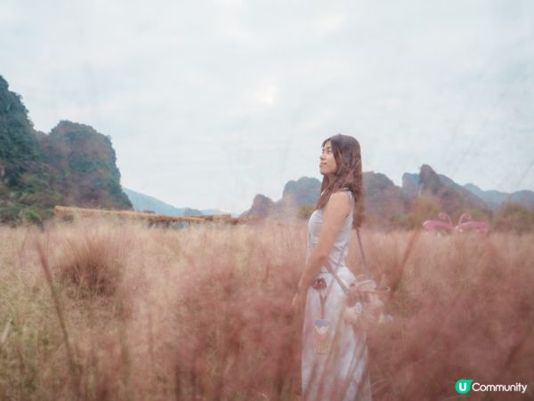 🚂【清遠峰林小鎮】穿越花海湖面的網紅小火車!廣東版｢小桂林｣...