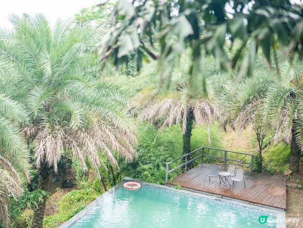 600米雲端帳篷🌌隱世秘境民宿🌟