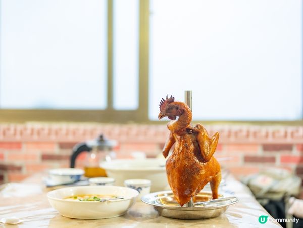 600米雲端帳篷🌌隱世秘境民宿🌟