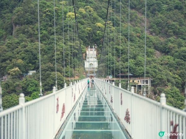 🌉韶關雲門山･高空玻璃橋+雲上飛車|318米透明步道,行到腳...