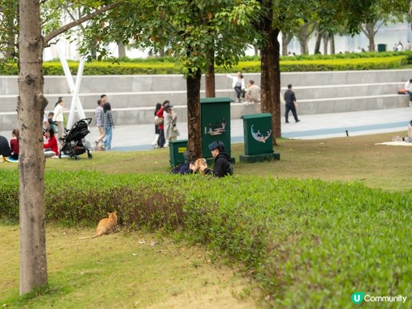 🎡深圳前海･歡樂港灣|海邊摩天輪+濱海步道+週末市集,情侶親...