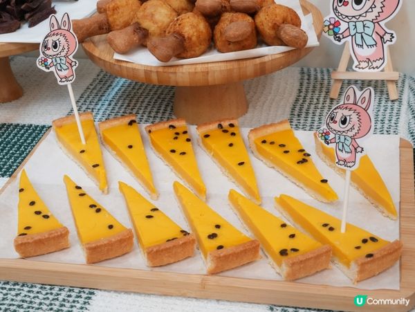 高質寵物派對服務