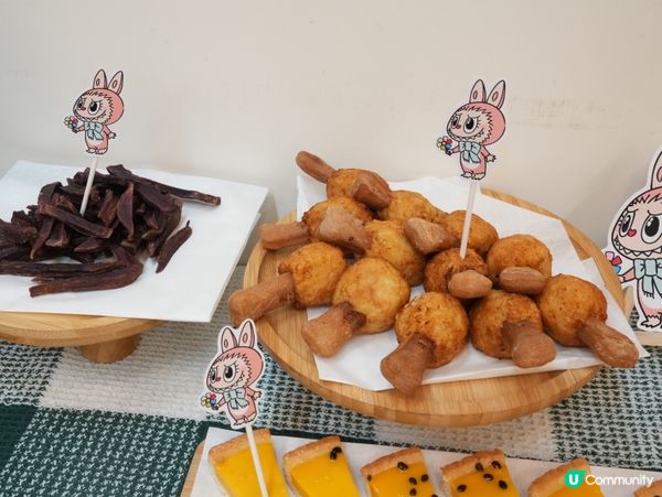 高質寵物派對服務