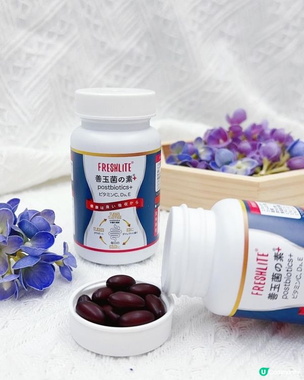 日本製 ♥ 無藥性 ♥ 改善腸道健康►新康來 後生腸胃丸