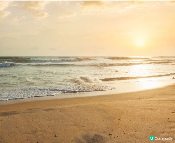 我最近到訪過的夏日打卡熱點係大嶼山長沙沙灘舉辦?沙灘瑜伽wo...