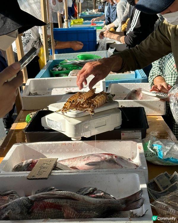 （九州）伊崎漁港夕市買海鮮🐙🦀🦐🦑