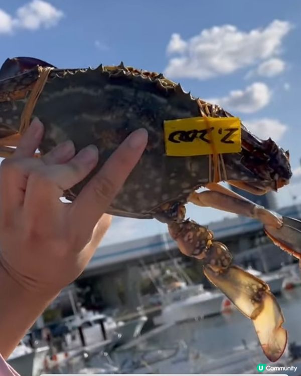 （九州）伊崎漁港夕市買海鮮🐙🦀🦐🦑