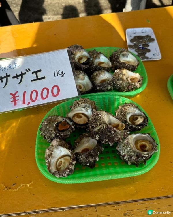 （九州）伊崎漁港夕市買海鮮🐙🦀🦐🦑