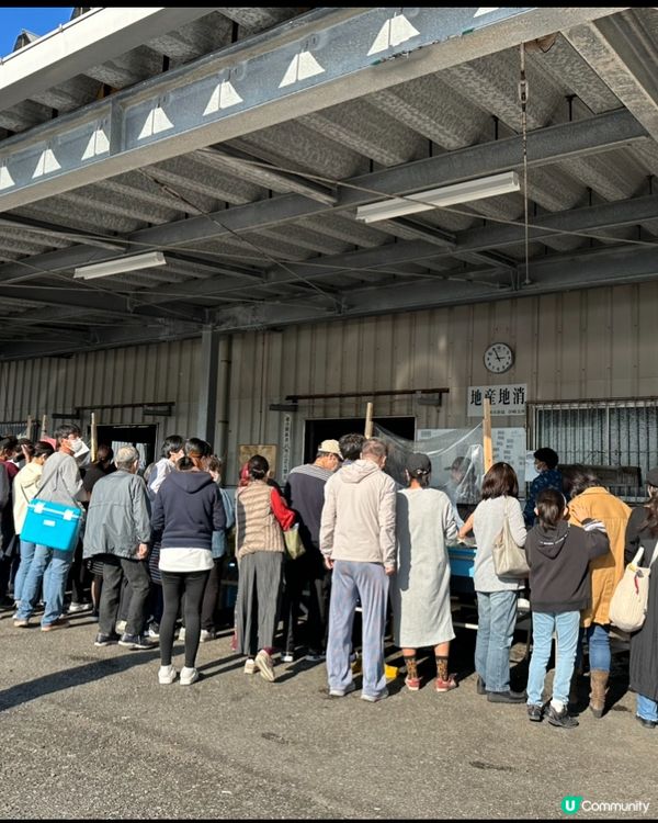 （九州）伊崎漁港夕市買海鮮🐙🦀🦐🦑