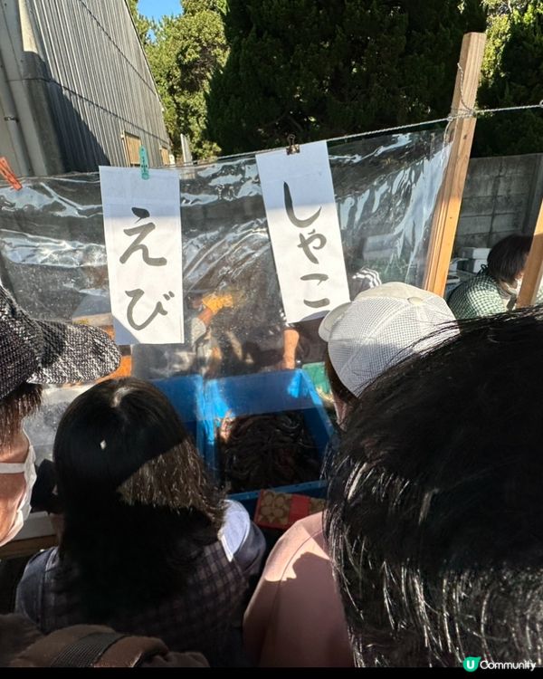 （九州）伊崎漁港夕市買海鮮🐙🦀🦐🦑