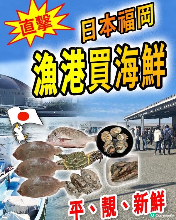 （九州）伊崎漁港夕市買海鮮🐙🦀🦐🦑