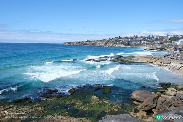 【旅遊澳洲】悉尼海邊旅遊勝地 - Bondi Beach