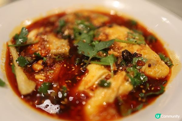 水煮魚 口水雞 雞煲火鍋 川味麻辣專門店 深水埗美食攻略 23年 四川重口味 Heavy Taste 正宗四川紅油火鍋、重口味麻辣雞煲、 openrice 土瓜灣 酸菜魚 外賣 12蚊 酸辣粉 筲箕灣