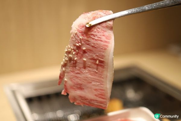 旺角美食攻略2023 一人燒肉OK! 成本價食和牛燒肉 最平$48起 燒肉 JuJu 牛五花 放題 #燒肉JuJu #旺角美食 #旺角#燒肉 #一人燒肉 #旺角燒肉 放題 Yakiniku Ju Ju