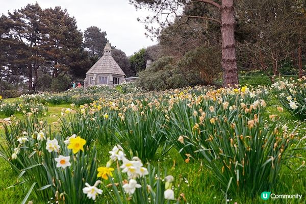 英國康瓦爾郡 聖邁克爾山(St Michael’s Mount)