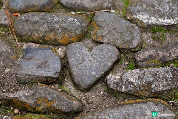 英國康瓦爾郡 聖邁克爾山(St Michael’s Mount)
