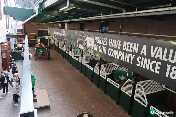 西歐四國遊 Day5 (教大家點食荷蘭國民美食Herring,又飲又玩嘅喜力博物館,食迷幻松露注意事項!)