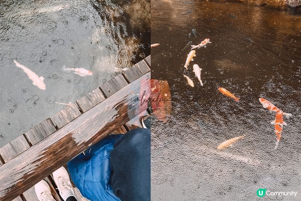 【旅遊】日本名古屋．下呂溫泉旅館「望川館」一泊二食．私人風呂