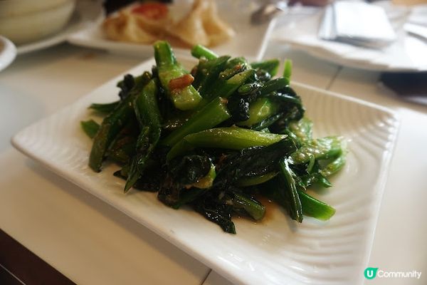 從來喜歡星馬菜