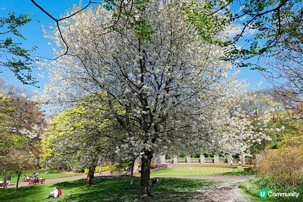 英國愛丁堡一日遊
