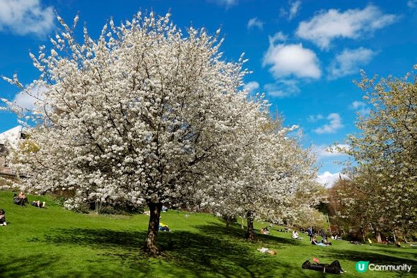 英國愛丁堡一日遊