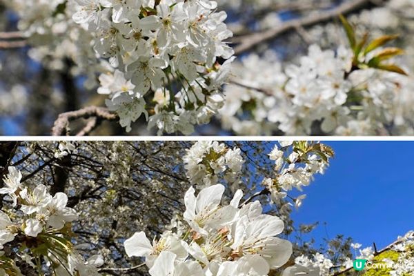英國愛丁堡一日遊