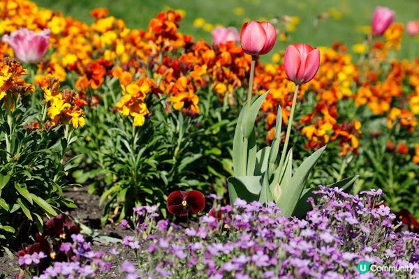 英國愛丁堡一日遊