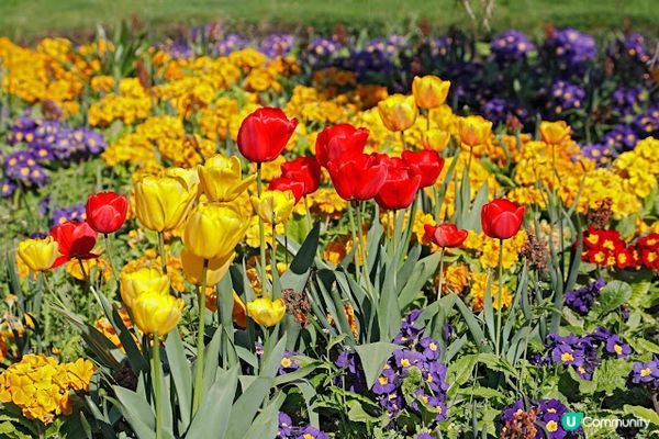 英國愛丁堡一日遊