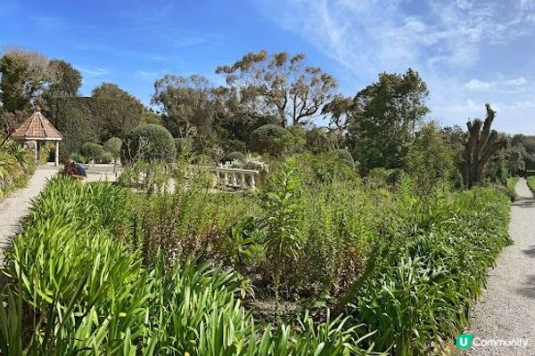 英國Isles of Scilly Pt.6