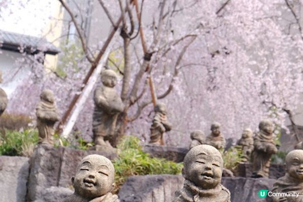 【旅遊日本】絕美日本奈良京都賞櫻地點