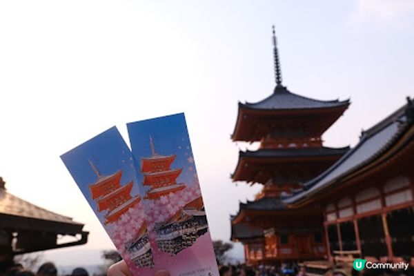 【旅遊日本】春夜漫遊清水寺
