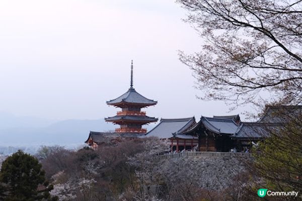 【旅遊日本】春夜漫遊清水寺