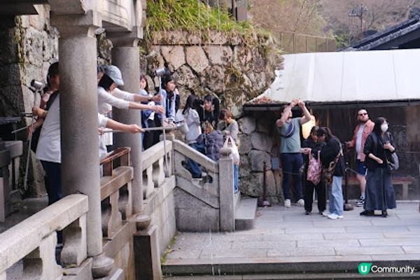 【旅遊日本】春夜漫遊清水寺