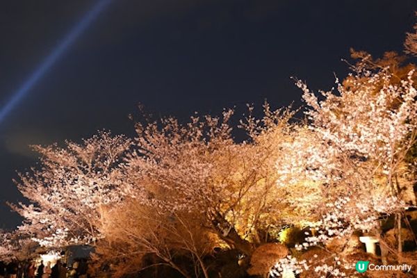 【旅遊日本】春夜漫遊清水寺