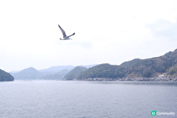 【旅遊日本】無腦天橋立伊根舟屋一日遊