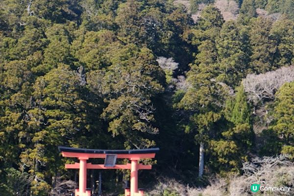 【旅遊日本】超值箱根周遊券玩多種交通工具
