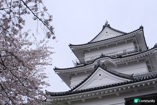 【旅遊日本】超值箱根周遊券玩多種交通工具