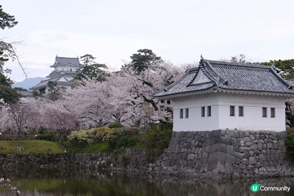 【旅遊日本】超值箱根周遊券玩多種交通工具