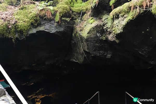【旅遊日本】冰洞花海富士山 - 河口湖周遊巴士